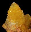 Sunshine Cactus Quartz Crystals - South Africa #98376-2